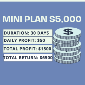 Mini Plan