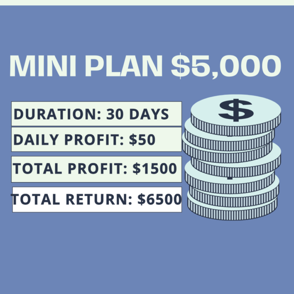 Mini Plan