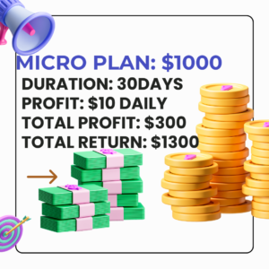 Micro Plan
